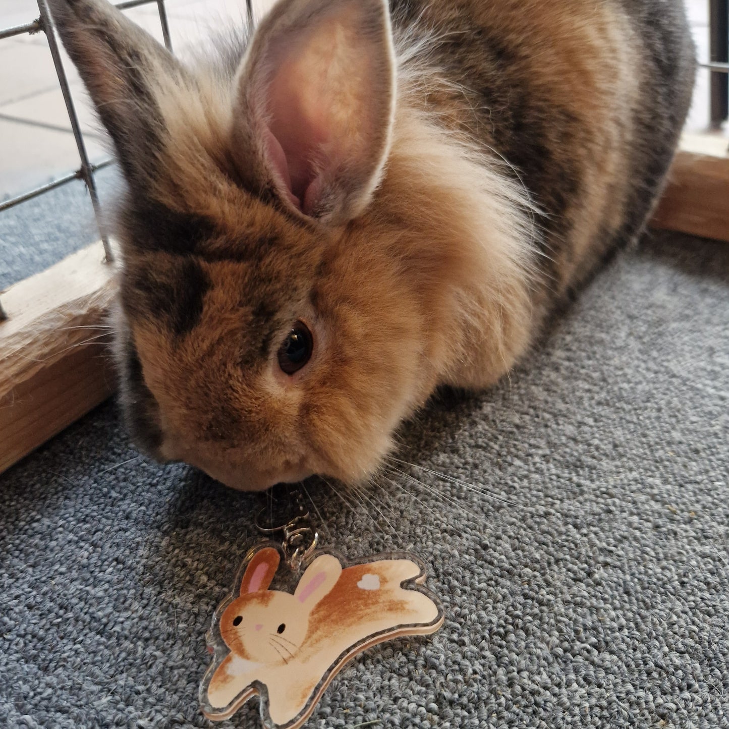 Jessie and James | keychain