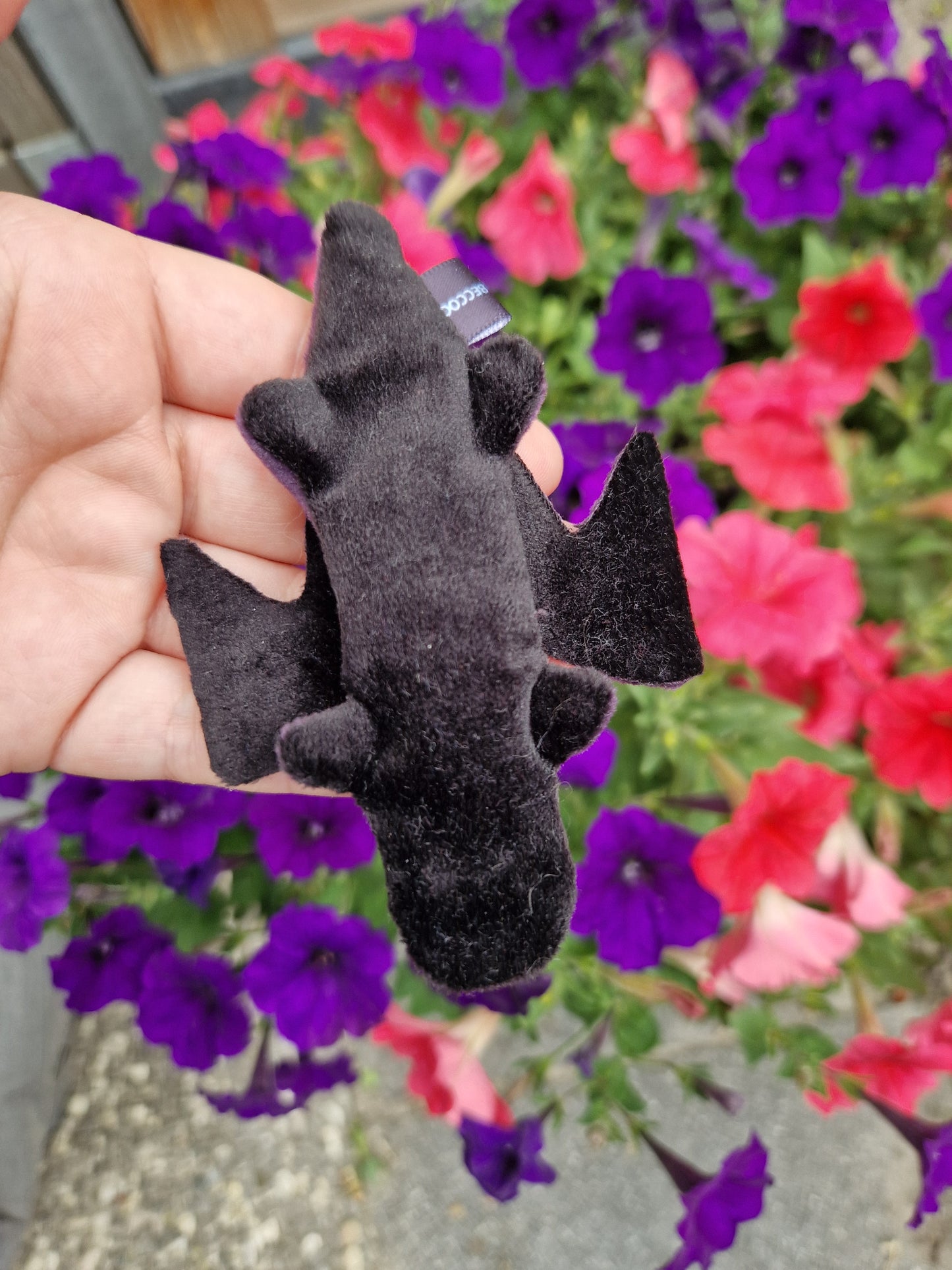 Dragon - fidget plush - purple and black