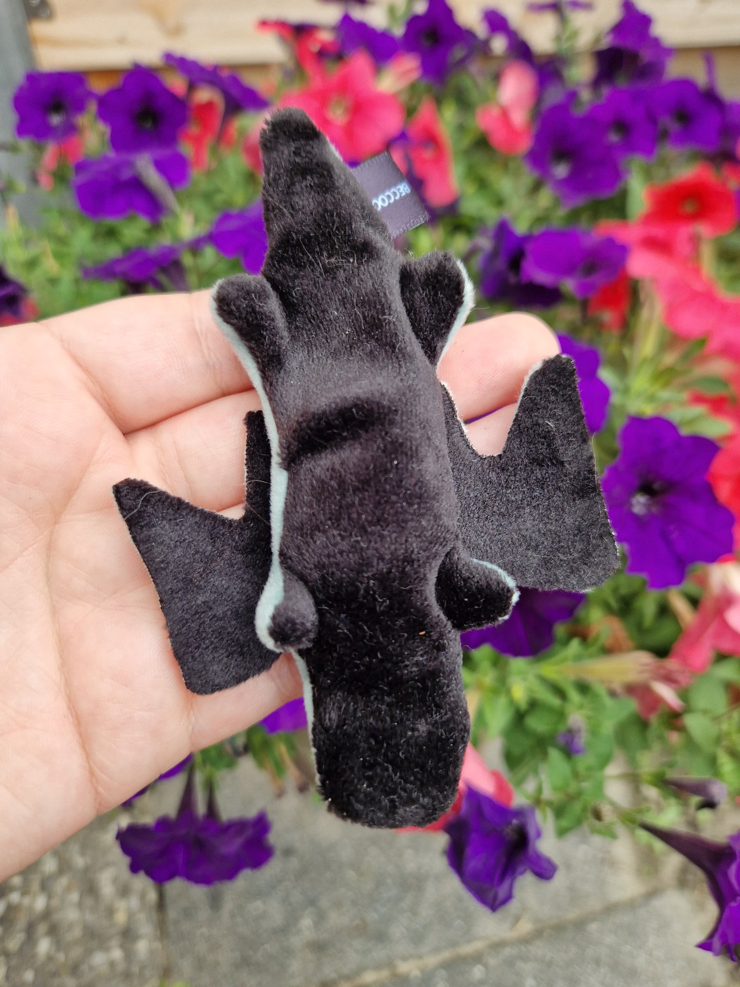 Dragon - fidget plush - mint and black