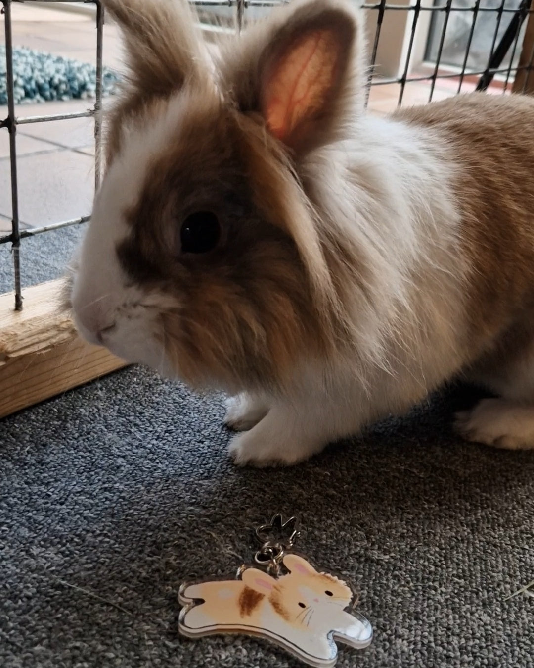 Jessie and James | keychain